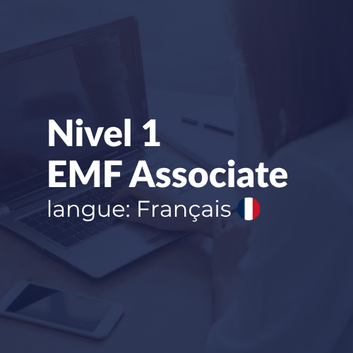Assistant de formation CEM – Niveau 1 (Français)